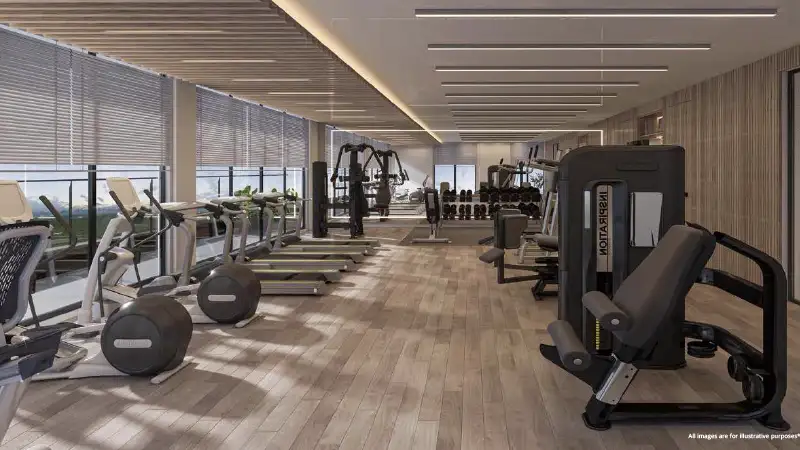 Siroya Amethyst at Majan